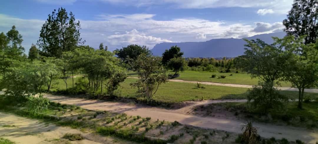 Moholoholo Lodge Acornhoek エクステリア 写真